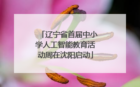辽宁省首届中小学人工智能教育活动周在沈阳启动