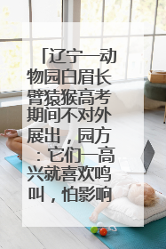 辽宁一动物园白眉长臂猿猴高考期间不对外展出，园方：它们一高兴就喜欢鸣叫，怕影响考试