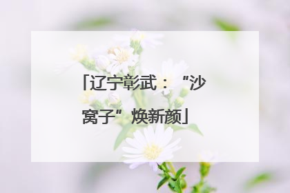 辽宁彰武：“沙窝子”焕新颜