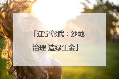 辽宁彰武：沙地治理 造绿生金