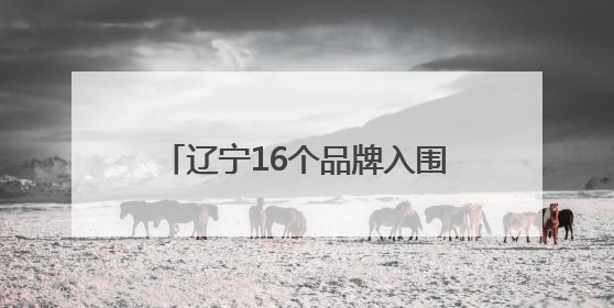 辽宁16个品牌入围2025中国品牌价值评价信息发布榜单