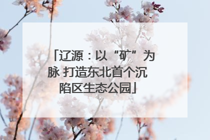 辽源：以“矿”为脉 打造东北首个沉陷区生态公园