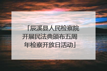 辰溪县人民检察院开展民法典颁布五周年检察开放日活动