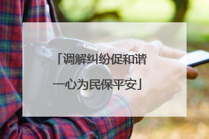 调解纠纷促和谐 一心为民保平安