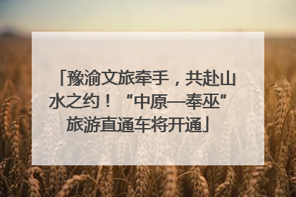 豫渝文旅牵手，共赴山水之约！“中原—奉巫”旅游直通车将开通