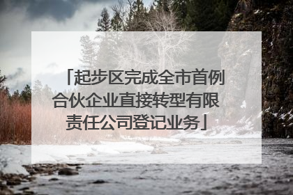 起步区完成全市首例合伙企业直接转型有限责任公司登记业务