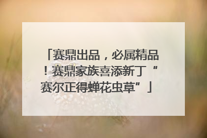 赛鼎出品，必属精品！赛鼎家族喜添新丁“赛尔正得蝉花虫草”