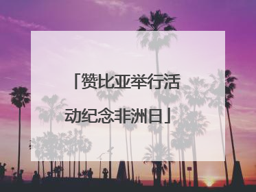 赞比亚举行活动纪念非洲日