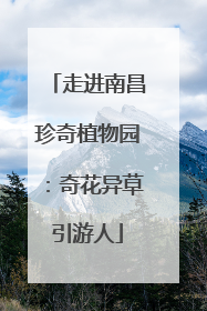 走进南昌珍奇植物园：奇花异草引游人
