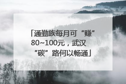 通勤族每月可“赚”80~100元，武汉“碳”路何以畅通