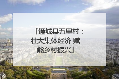 通城县五里村：壮大集体经济 赋能乡村振兴