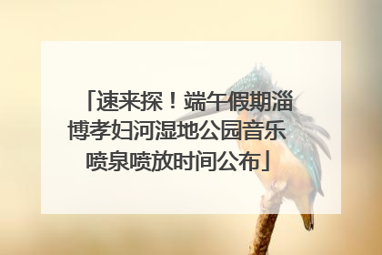 速来探！端午假期淄博孝妇河湿地公园音乐喷泉喷放时间公布