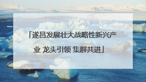 遂昌发展壮大战略性新兴产业 龙头引领 集群共进
