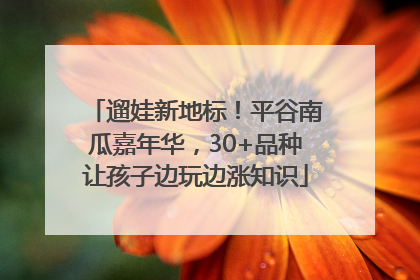 遛娃新地标！平谷南瓜嘉年华，30+品种让孩子边玩边涨知识