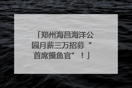 郑州海昌海洋公园月薪三万招募“首席摸鱼官”！