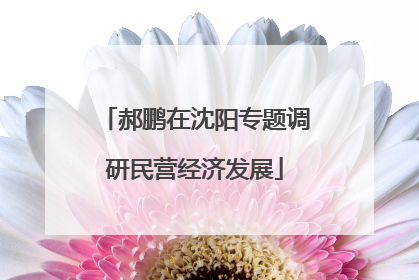 郝鹏在沈阳专题调研民营经济发展