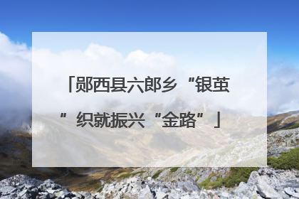 郧西县六郎乡“银茧”织就振兴“金路”