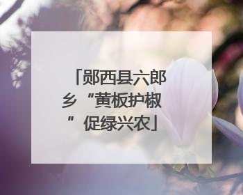 郧西县六郎乡“黄板护椒”促绿兴农