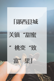 郧西县城关镇“甜蜜”桃变“致富”果