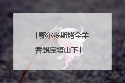 鄂尔多斯烤全羊香飘宝塔山下