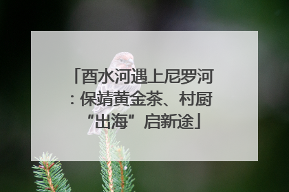 酉水河遇上尼罗河：保靖黄金茶、村厨“出海”启新途