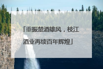 重振楚酒雄风，枝江酒业再续百年辉煌