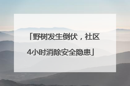 野树发生倒伏，社区4小时消除安全隐患