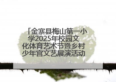 金寨县梅山第一小学2025年校园文化体育艺术节暨乡村少年宫文艺展演活动圆满落幕