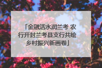金融活水润兰考 农行开封兰考县支行共绘乡村振兴新画卷