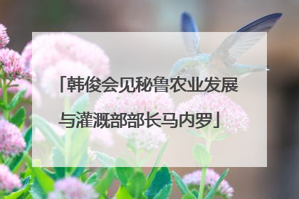 韩俊会见秘鲁农业发展与灌溉部部长马内罗