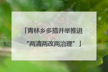 青林乡多措并举推进“两清两改两治理”