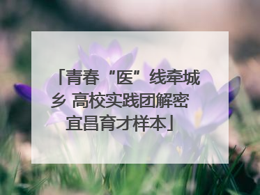 青春“医”线牵城乡 高校实践团解密宜昌育才样本