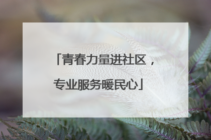 青春力量进社区，专业服务暖民心