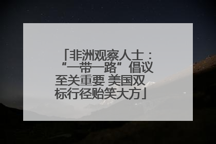 非洲观察人士：“一带一路”倡议至关重要 美国双标行径贻笑大方
