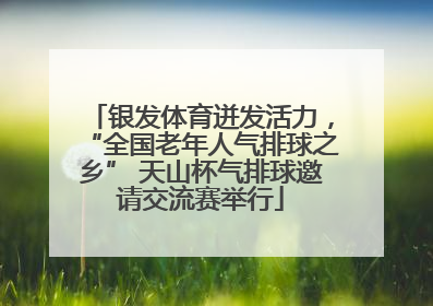 银发体育迸发活力，“全国老年人气排球之乡” 天山杯气排球邀请交流赛举行