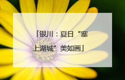 银川：夏日“塞上湖城”美如画