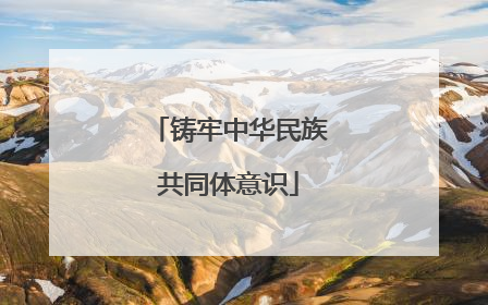 铸牢中华民族共同体意识