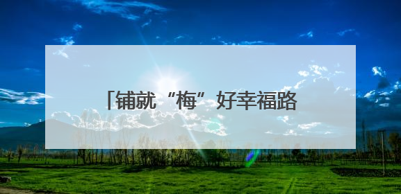 铺就“梅”好幸福路 共绘乡村致富图