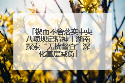 锲而不舍落实中央八项规定精神丨湖南探索“无扰督查”深化基层减负