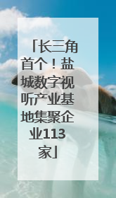 长三角首个！盐城数字视听产业基地集聚企业113家