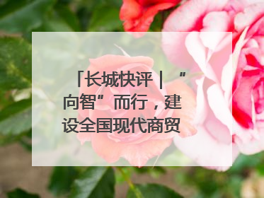 长城快评｜“向智”而行，建设全国现代商贸物流重要基地