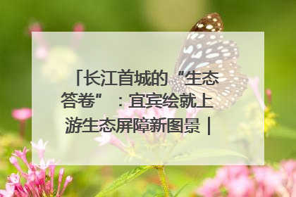 长江首城的“生态答卷”：宜宾绘就上游生态屏障新图景｜中华环保世纪行