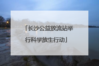 长沙公益放流站举行科学放生行动