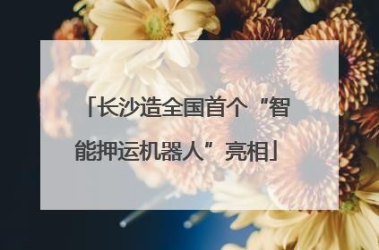 长沙造全国首个“智能押运机器人”亮相