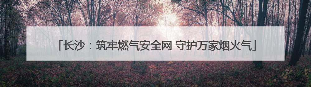 长沙：筑牢燃气安全网 守护万家烟火气