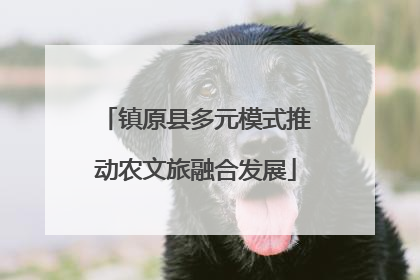 镇原县多元模式推动农文旅融合发展