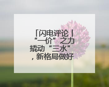 闪电评论丨“一价”之力撬动“三水”，新格局做好“水文章”