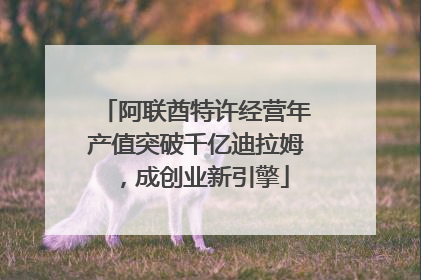 阿联酋特许经营年产值突破千亿迪拉姆，成创业新引擎