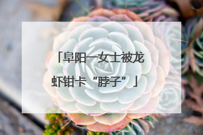 阜阳一女士被龙虾钳卡“脖子”