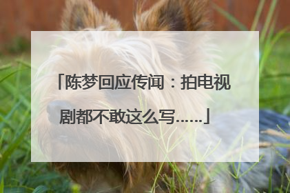 陈梦回应传闻：拍电视剧都不敢这么写……